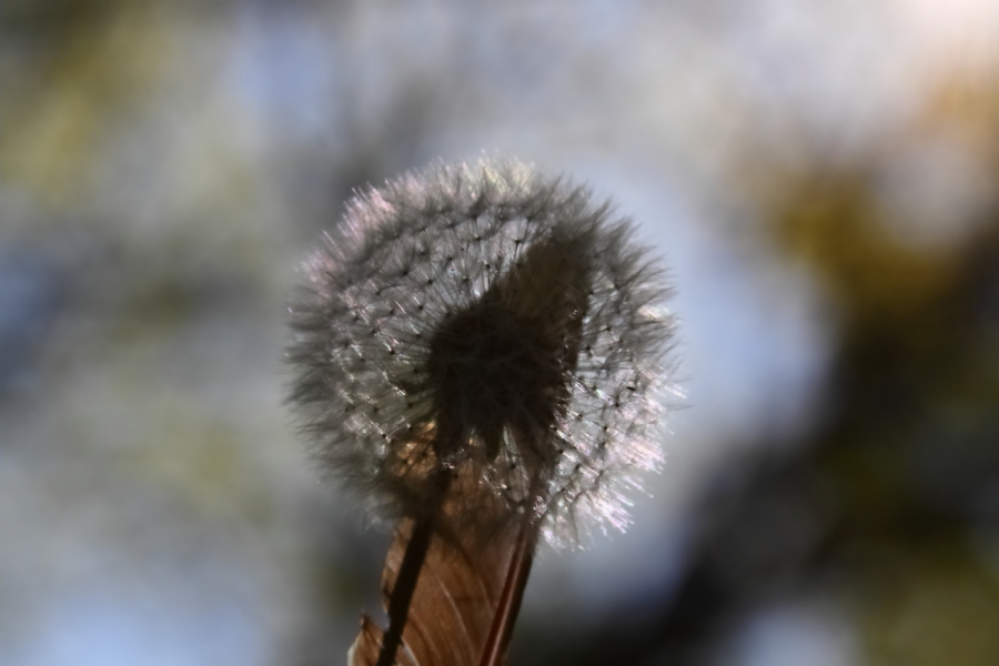 2012 05 10 2289